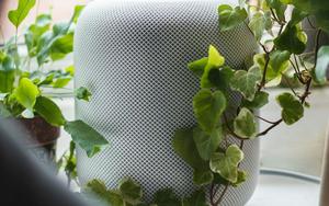 Thumbnail for Bringing Great Sound Outdoors: A Guide to Garden Speakers for Sharjah and UAE Homes